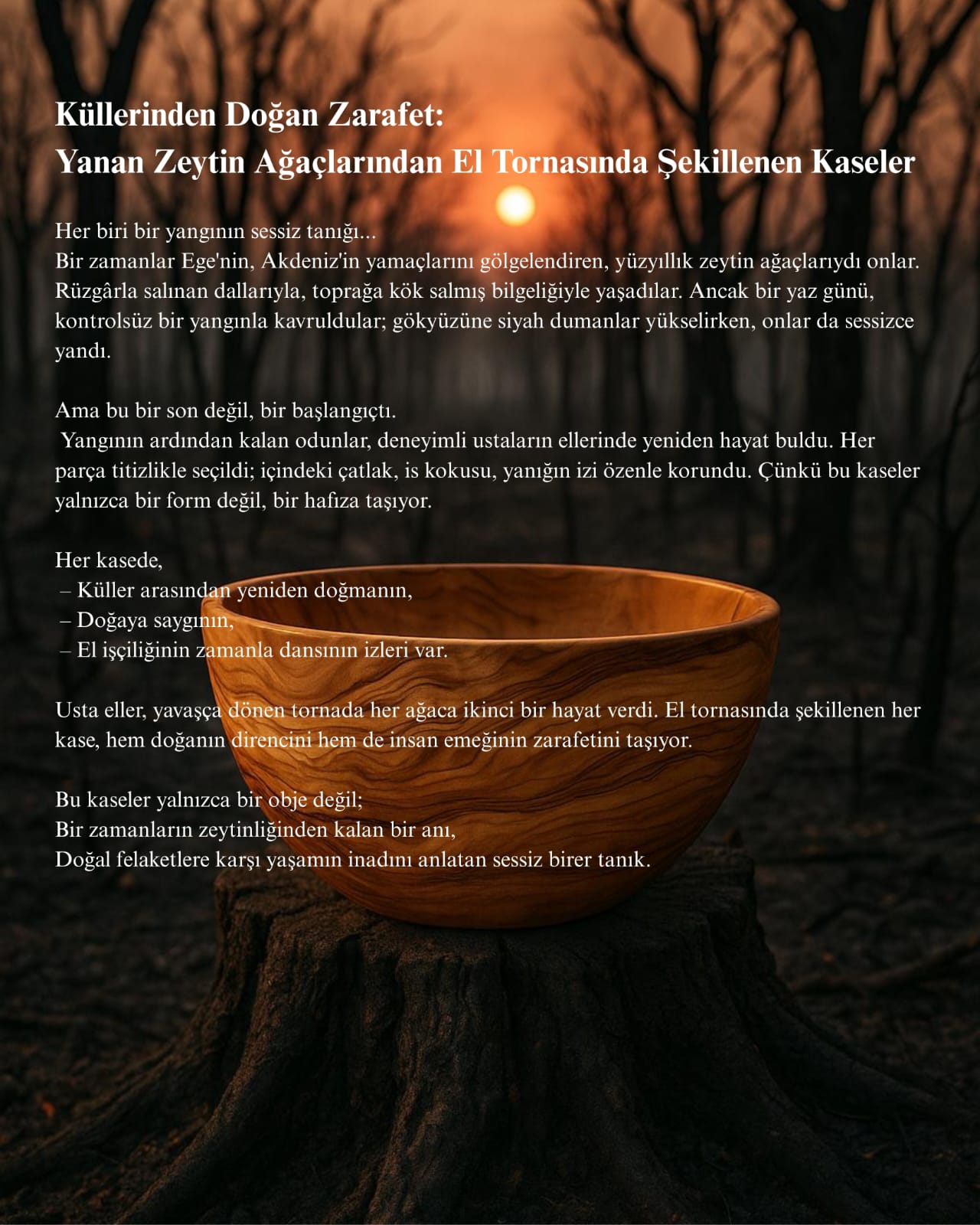 Ahşap dekor zeytin ağacı kase